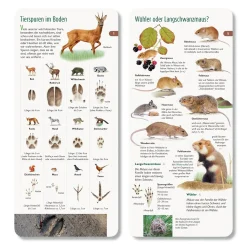 Wer hat am Zapfen gezupft?