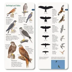 Wer hat am Zapfen gezupft?