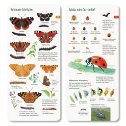 Wer hat am Zapfen gezupft?