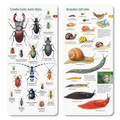 Wer hat am Zapfen gezupft?