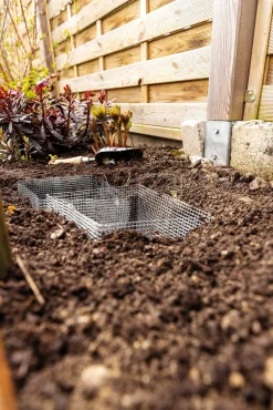 Wühlmauskorb für Blumenzwiebeln