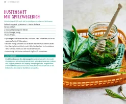 Wild und wunderbar: die 13 besten Wildkräuter