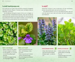 Wild und wunderbar: die 13 besten Wildkräuter