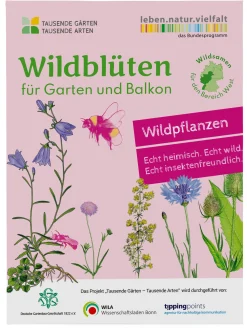 Wildblumen für Balkon und Garten gebietsheimisch