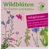 Wildblumen für Balkon und Garten gebietsheimisch