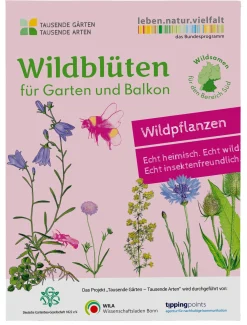Wildblumen für Balkon und Garten gebietsheimisch