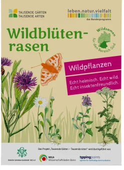 Wildblumenrasen gebietsheimisch