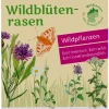 Wildblumenrasen gebietsheimisch
