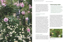 Wilde Ecken für jeden Garten