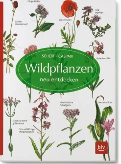 Wildpflanzen neu entdecken