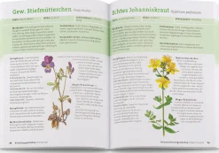 Wildpflanzen neu entdecken