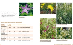 Wo die wilden Nützlinge wohnen