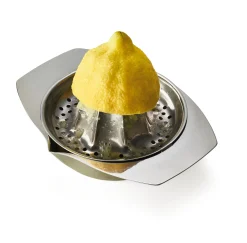 Zitruspresse Edelstahl